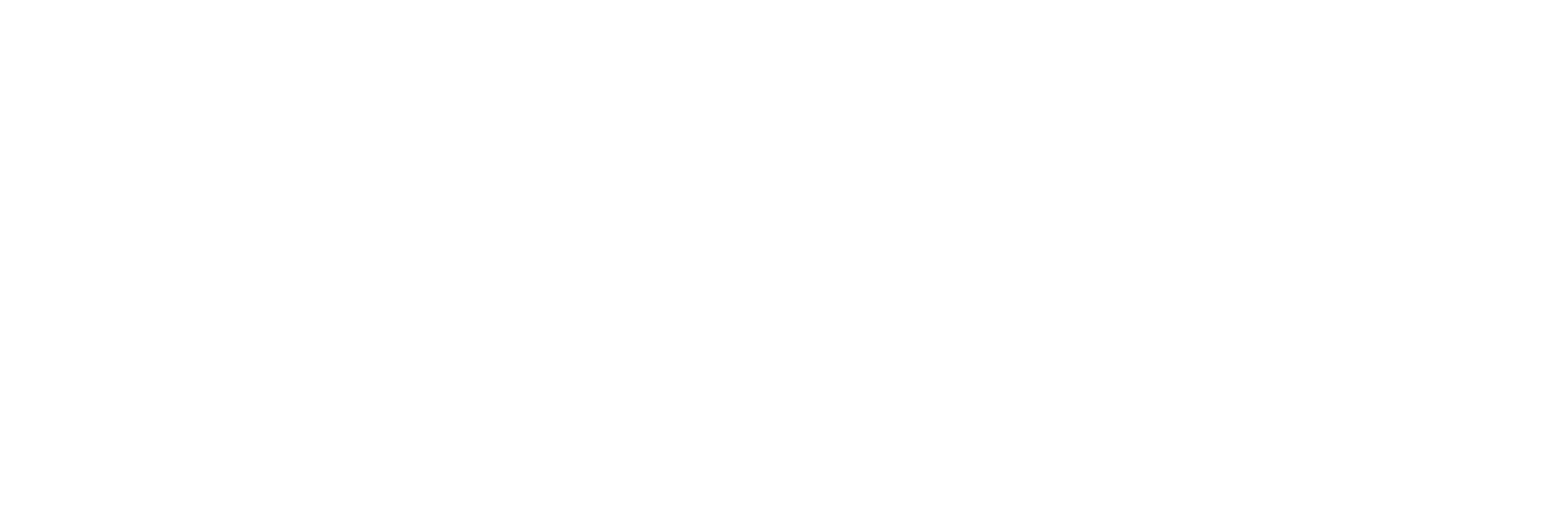 Logo CES Saint-Vincent